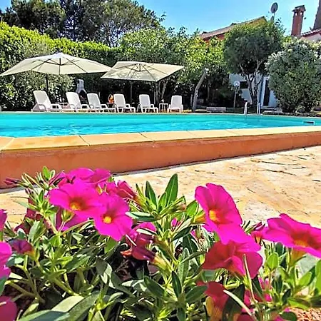 Beautiful For Two With A Pool 3* רוביני